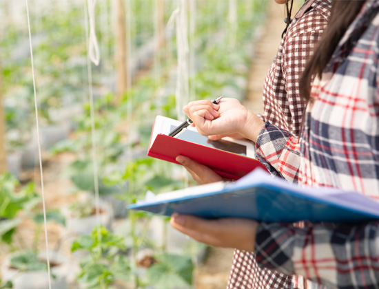 Feedstock-Cultivation-Guidance